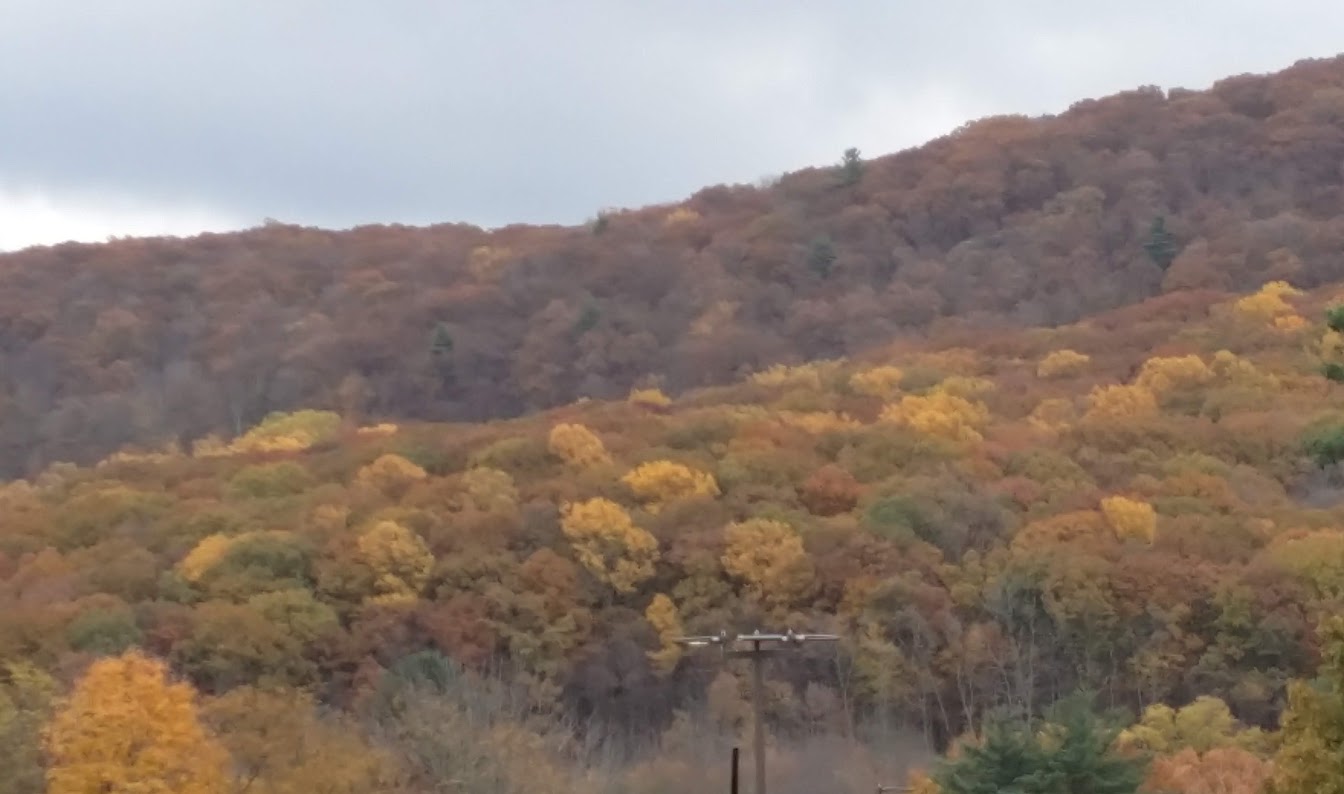 The foliage was beautiful as Happy on Wheels traveled through upstate New York, 11-18.