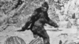 Photograph of "Bigfoot."