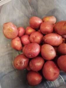 Baby Red Potatoes