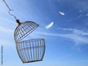 An empty, open birdcage with feathers in the air+.