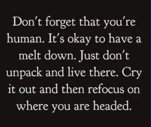 A quote that says, "Don't forget you're human. It's okay to have a meltdown. Just don't unpack and live there. Cry it out and then refocus on where you're headed."